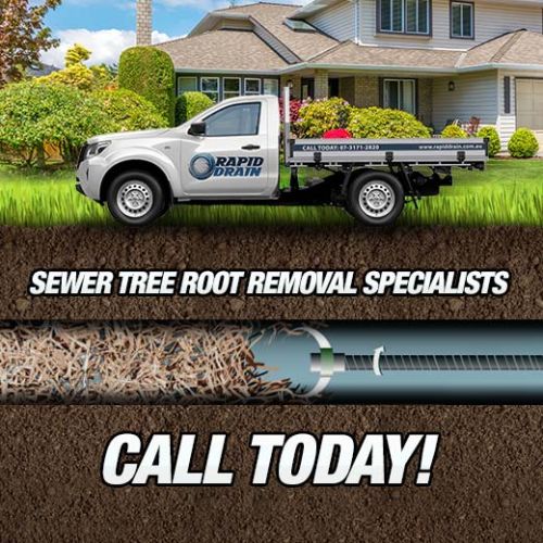 Sewer Tree Root Removal Specialists In The Gap